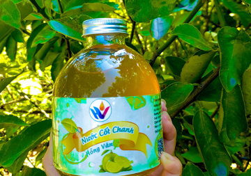 7 lợi ích của việc uống nước chanh mỗi ngày và một số lưu ý về sức khỏe